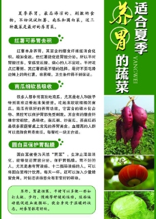 养胃的蔬菜杂志栏目报纸补版内容宣传页图片