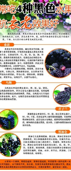 水果宣传黑色水果抗衰老杂志排版设计宣传页图片