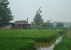 上江长江边上的村庄图片