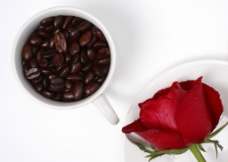 咖啡杯咖啡与玫瑰图片