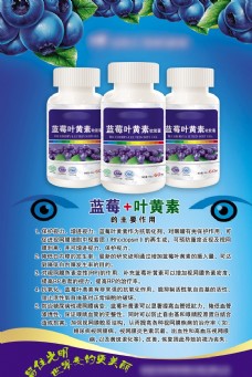 保护眼睛文化蓝莓叶黄素海报