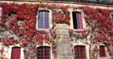 欧洲风景枫叶红房子图片