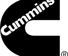 cummins logo 健康 营养 身体图片