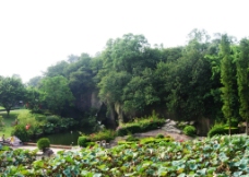 莲花山旅游区风景图片