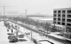 北京 雪景图片