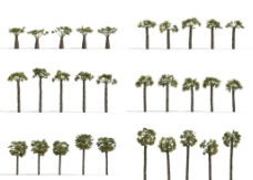 树木3D树模型图片