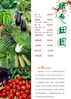 绿色蔬菜菜谱设计图片