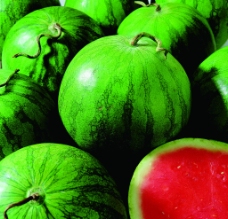 绿色新鲜的西瓜图片