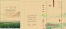 官庄山绿茶图片