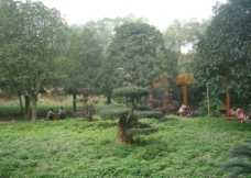 园林自然景观图片