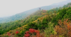 柘泉的北山图片
