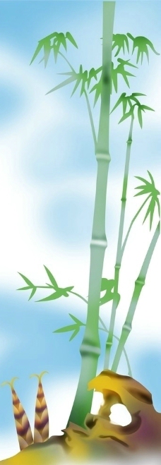 竹笋图片