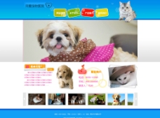 宠物医院网站模板图片