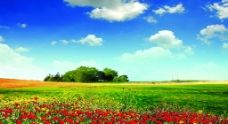 蓝天草地（实际像素下非高清）图片