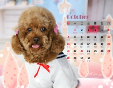 2012年可爱宠物狗台历图片