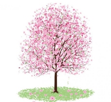 绿树桃树图片